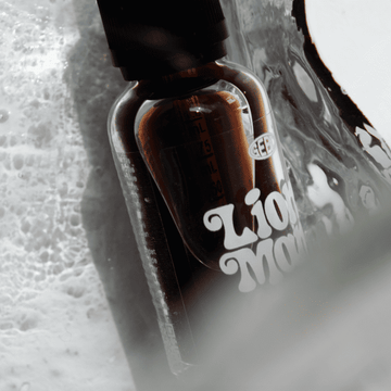 Fra baghave til tallerken: Det er nemt at dyrke Lion’s mane-svampe