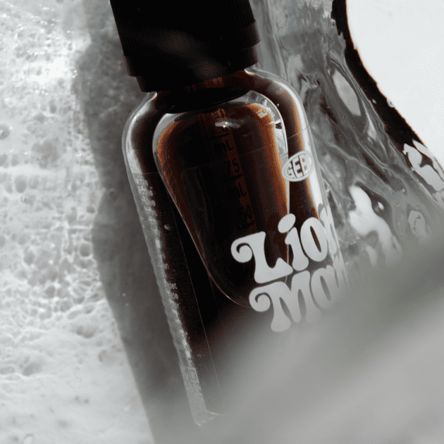 Fra baghave til tallerken: Det er nemt at dyrke Lion’s mane-svampe