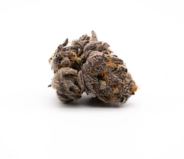 20% THCA Blomst