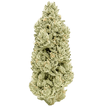 20% THCA Lemon Topskud